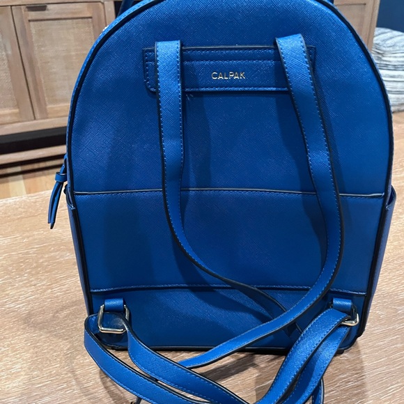 Calpak Blue Backpack with Sleek Design and Durable Material - Picture 2 of 13